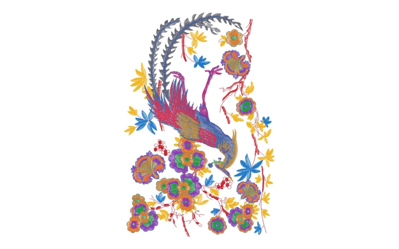 凤凰美丽花卉