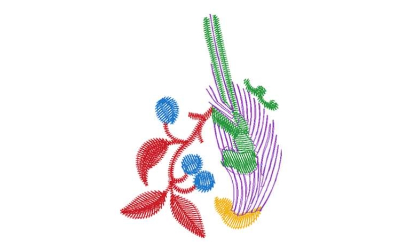 鸟珠片