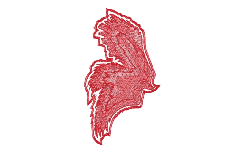 鸟