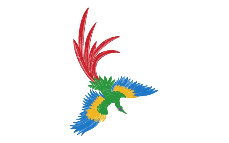鹰