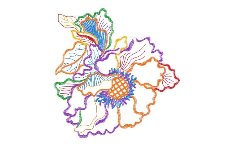 美丽花卉