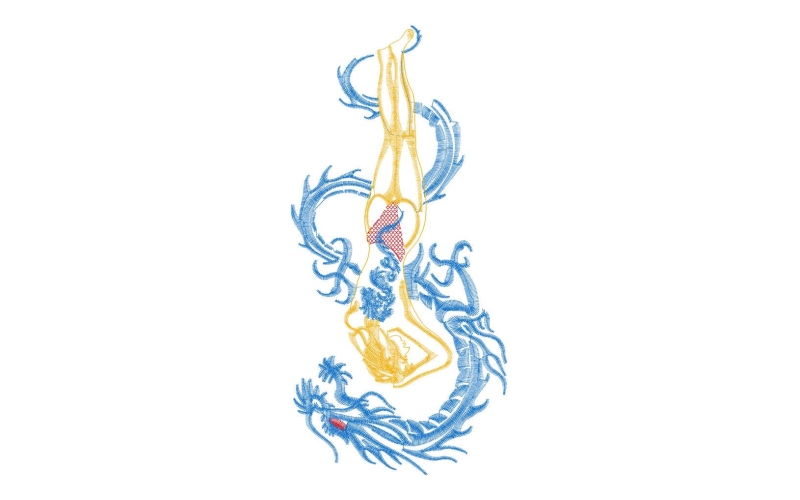 龙