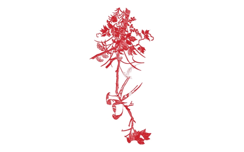 美丽花卉