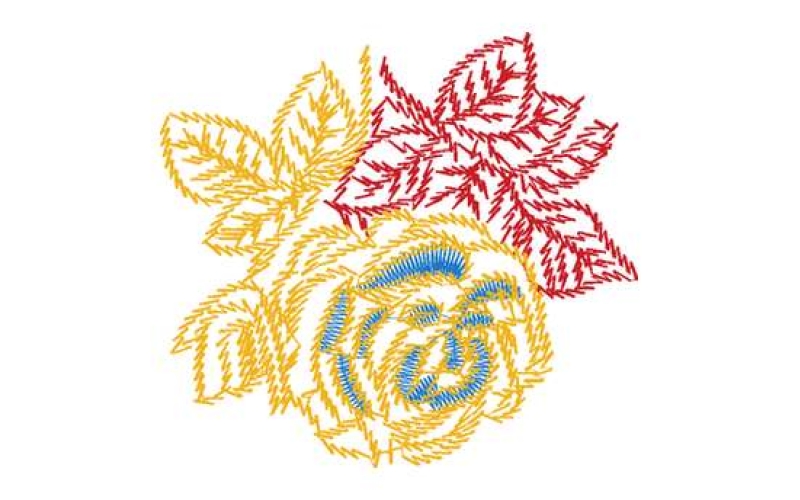 美丽花卉