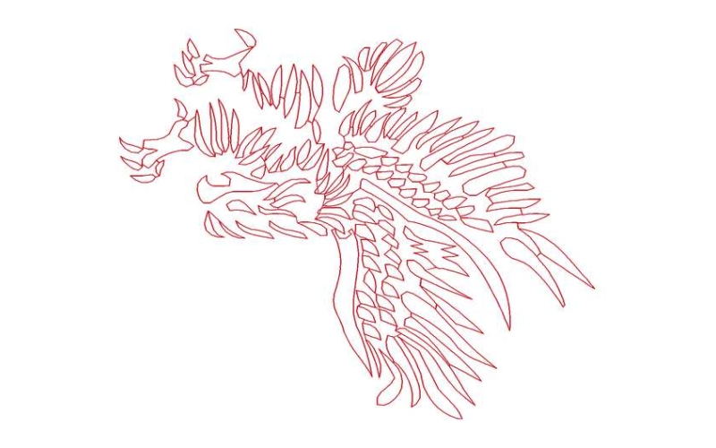 鹰