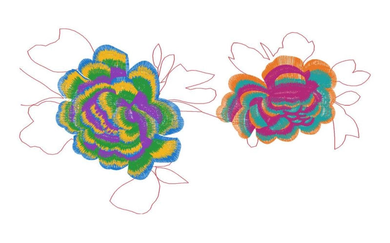 美丽花卉