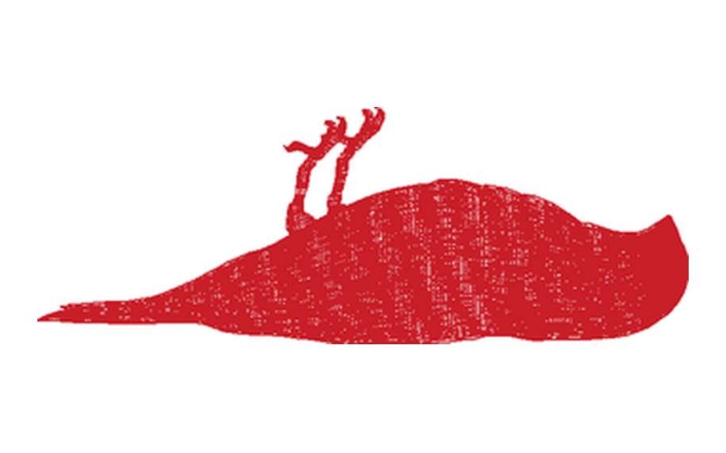 鸟