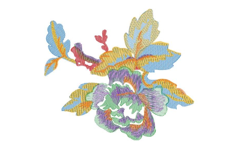 美丽花卉