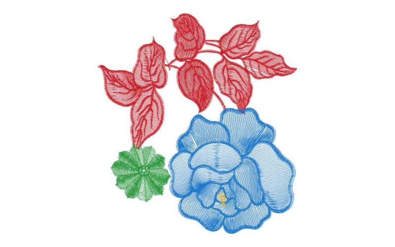 美丽花卉