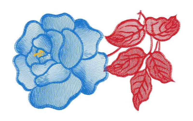 美丽花卉