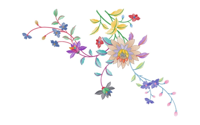 美丽花卉