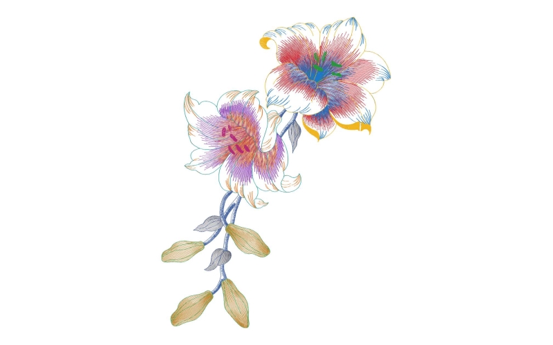 美丽花卉