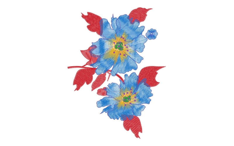 美丽花卉