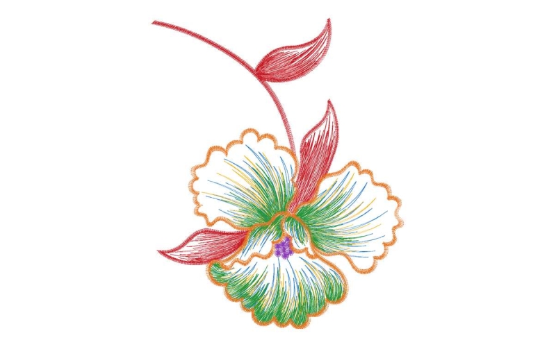 美丽花卉