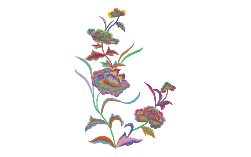 美丽花卉
