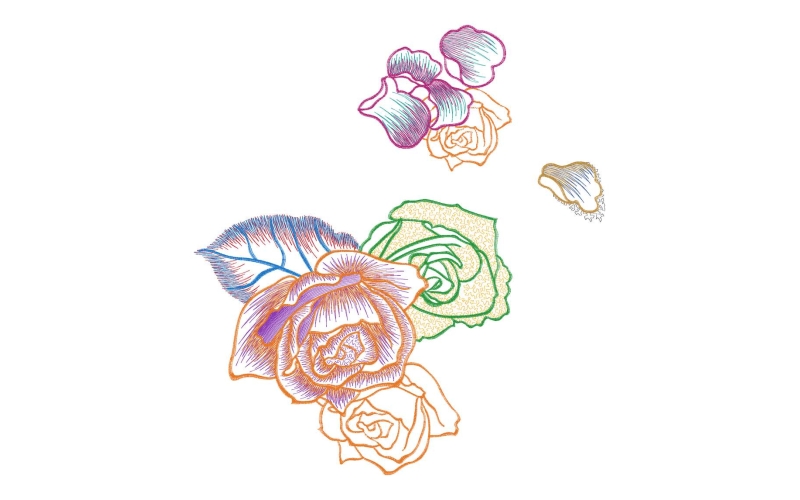 美丽花卉