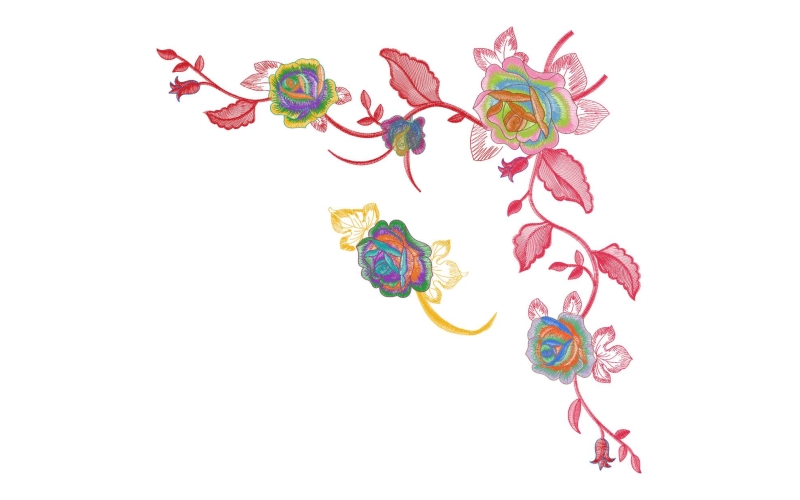 美丽花卉