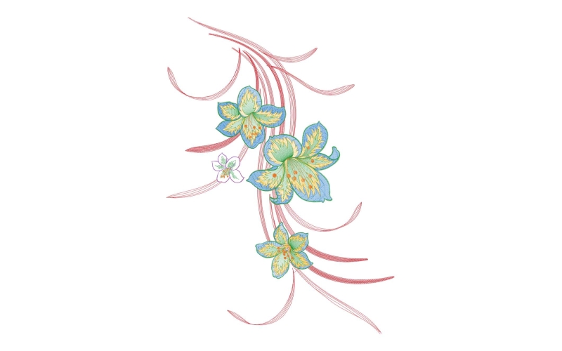 美丽花卉