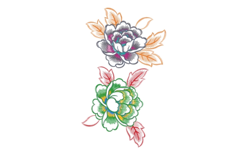美丽花卉