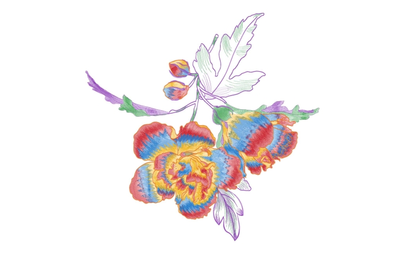 美丽花卉