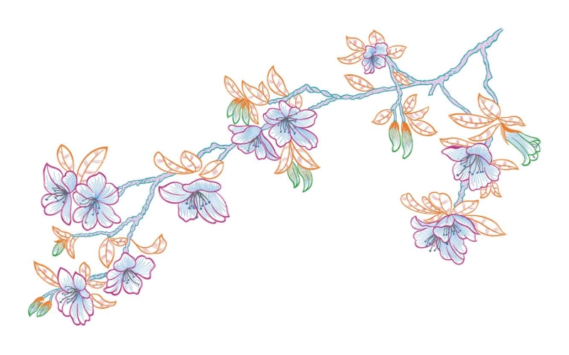 美丽花卉