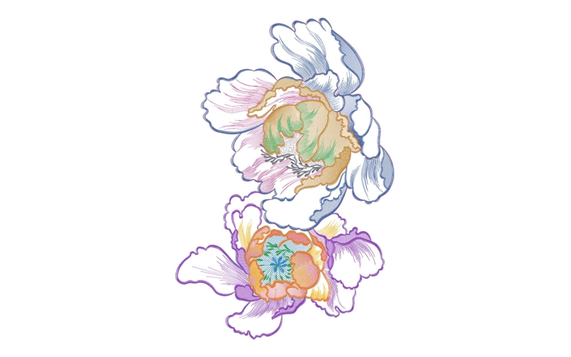 美丽花卉