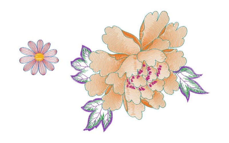美丽花卉