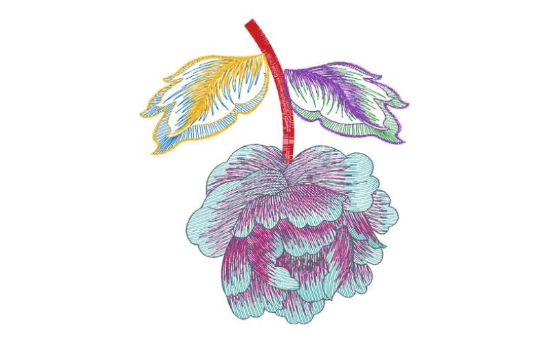 美丽花卉