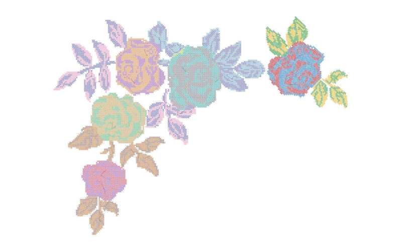 美丽花卉