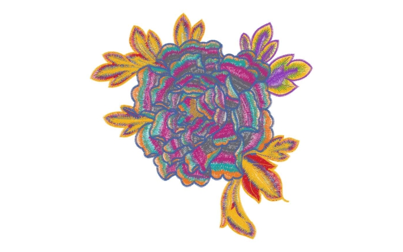 美丽花卉