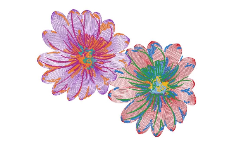 美丽花卉
