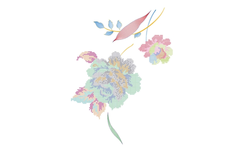 美丽花卉