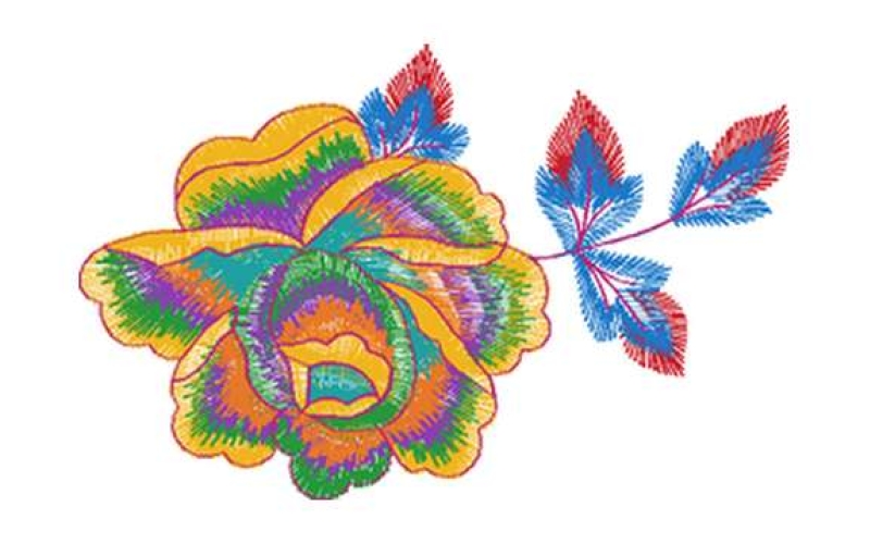 美丽花卉