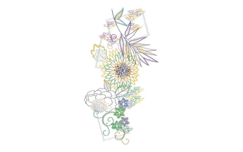 美丽花卉