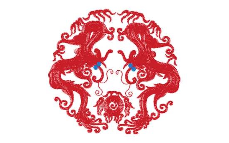龙