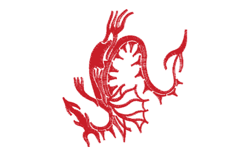 龙
