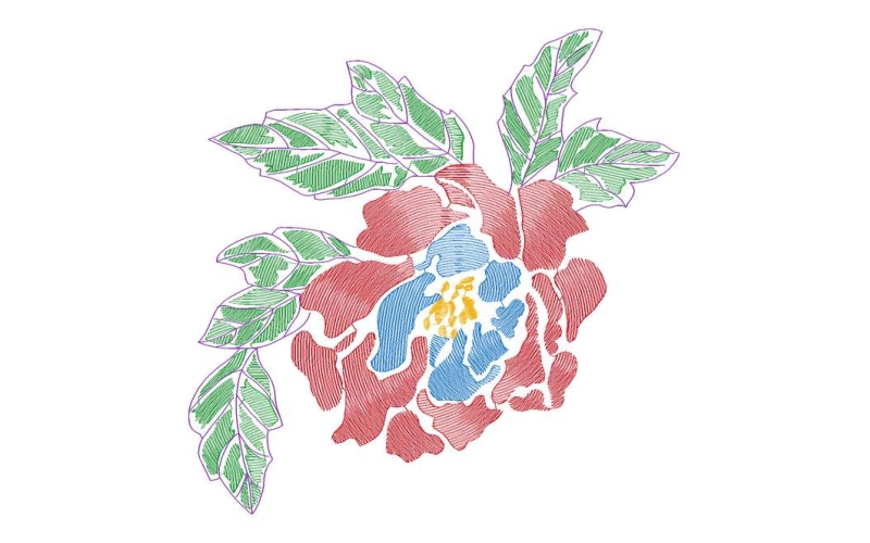 美丽花卉