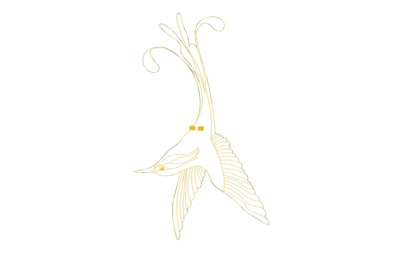 鸟