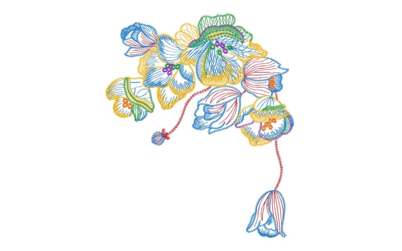 美丽花卉