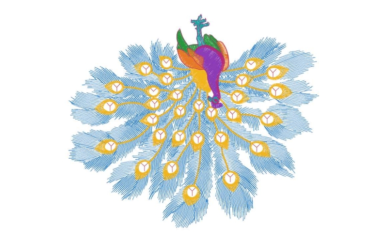 孔雀