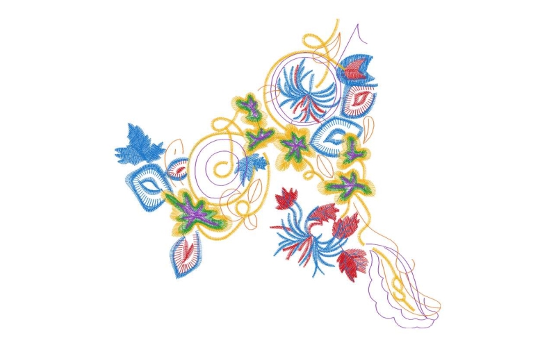美丽花卉