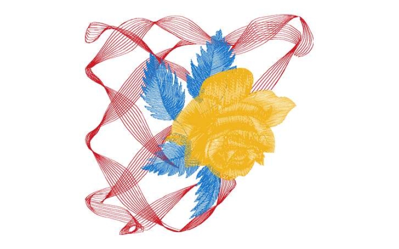 美丽花卉