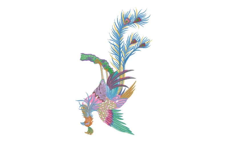孔雀