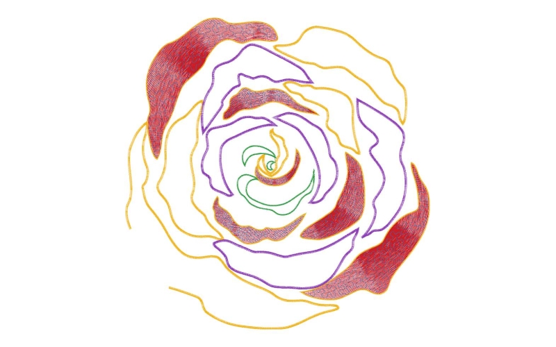 美丽花卉