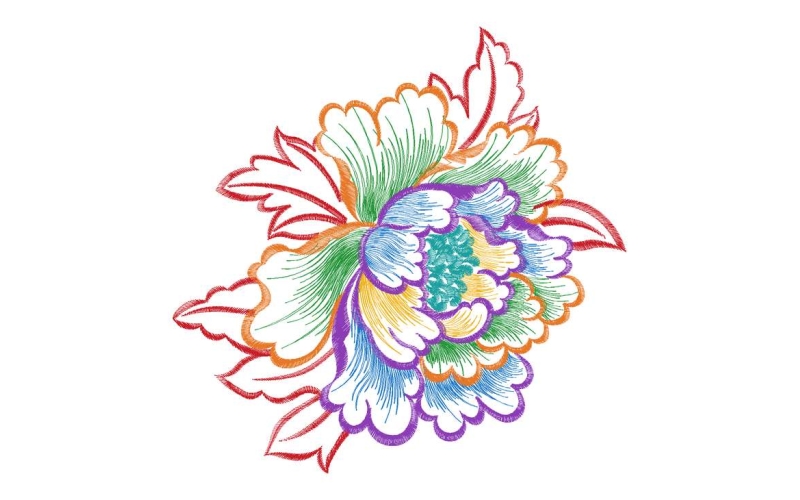 美丽花卉