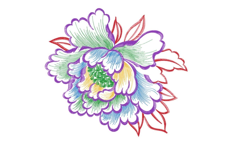 美丽花卉