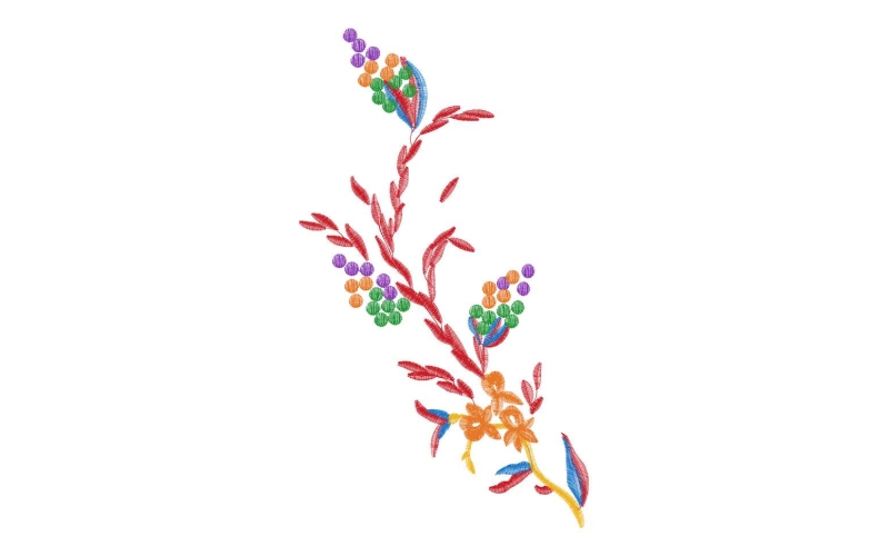 美丽花卉