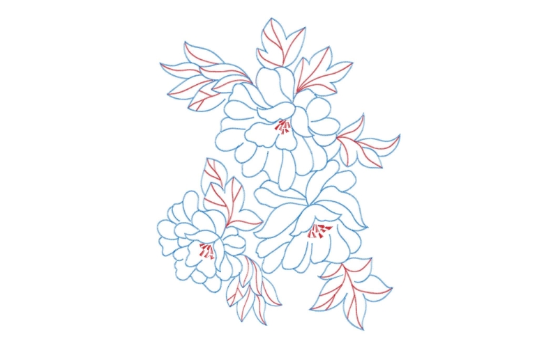 美丽花卉