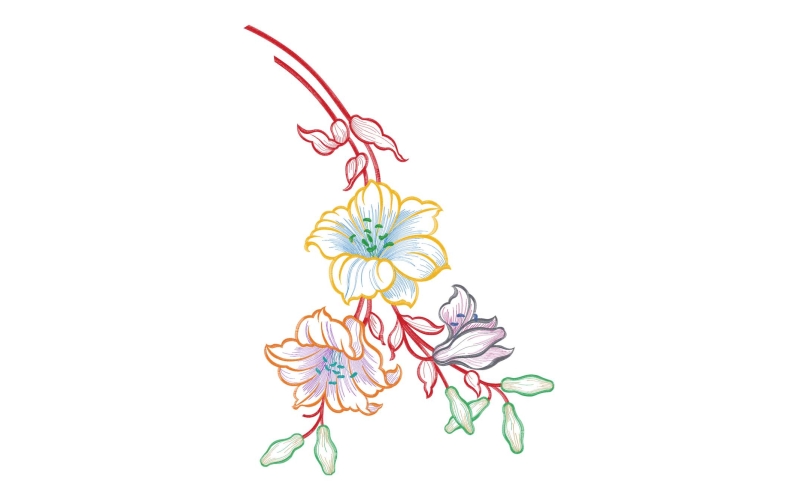 美丽花卉