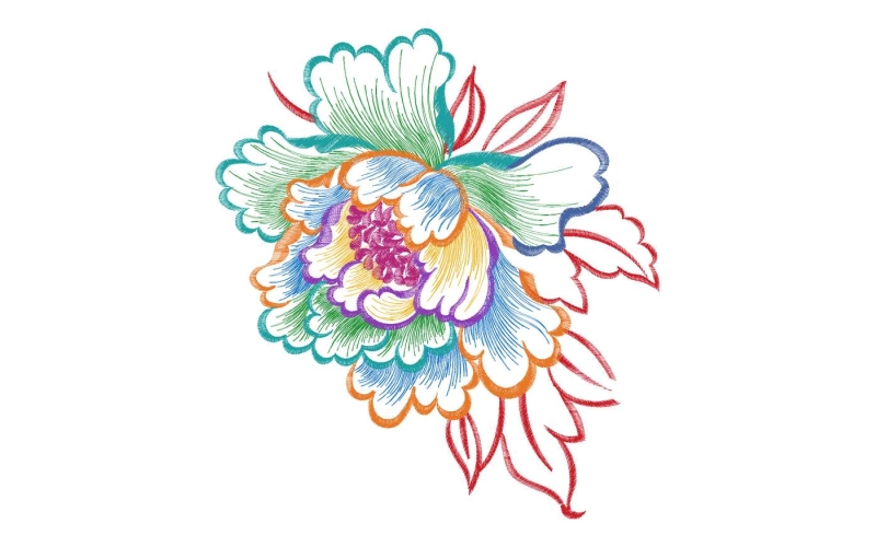 美丽花卉